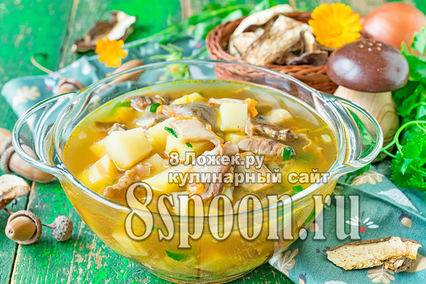 Суп из сушеных белых грибов с мукой фото